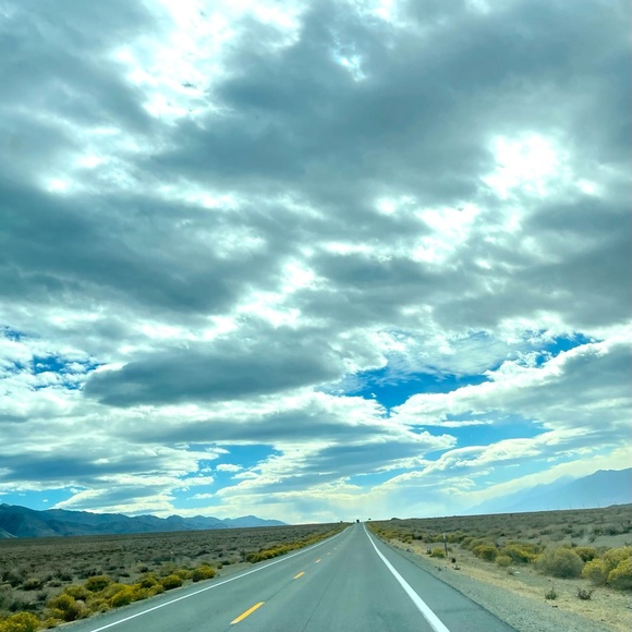 Meet your Posher, Cynthia - Picture 6 of 7